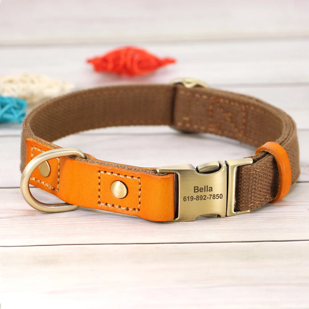 Dog Collar