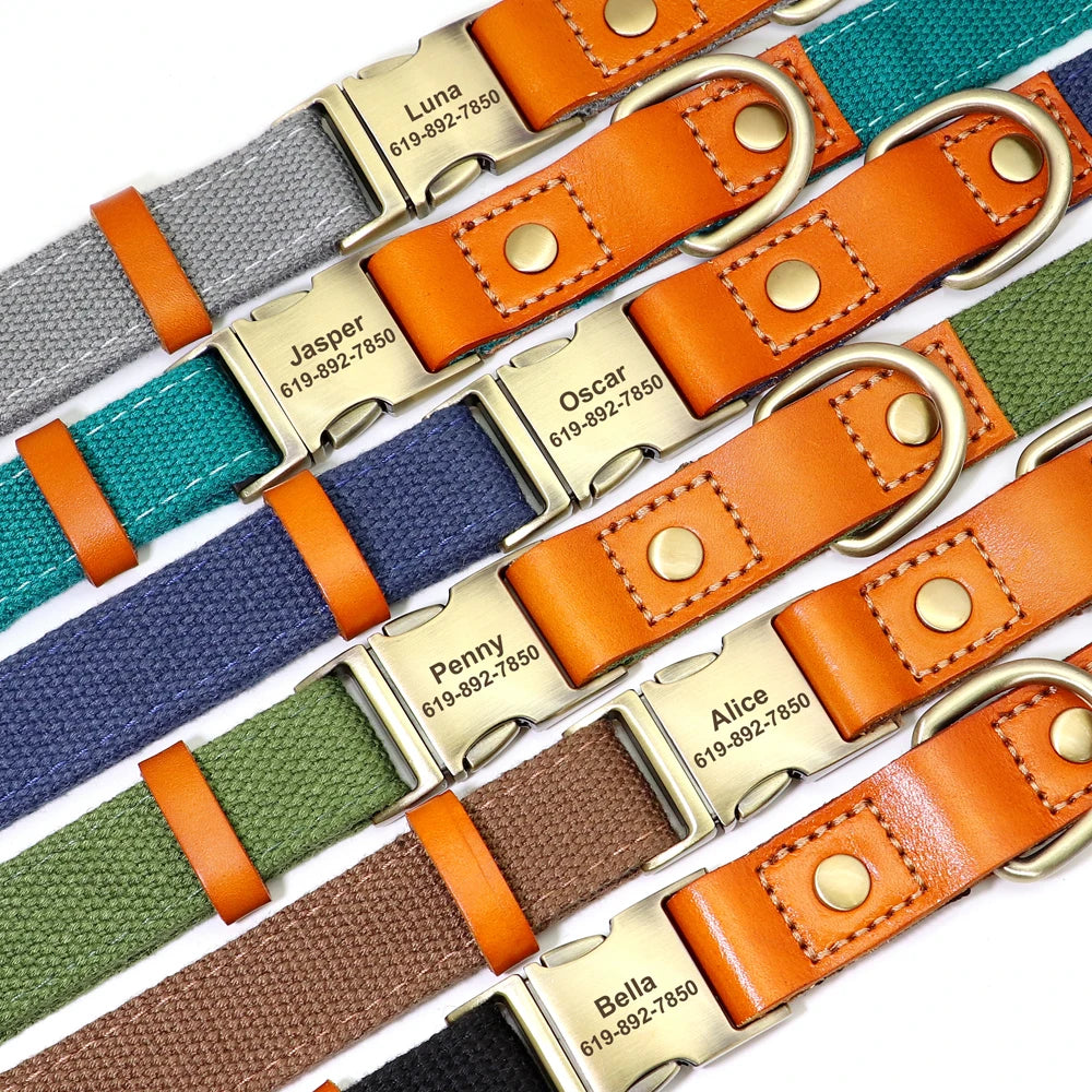 Dog Collar
