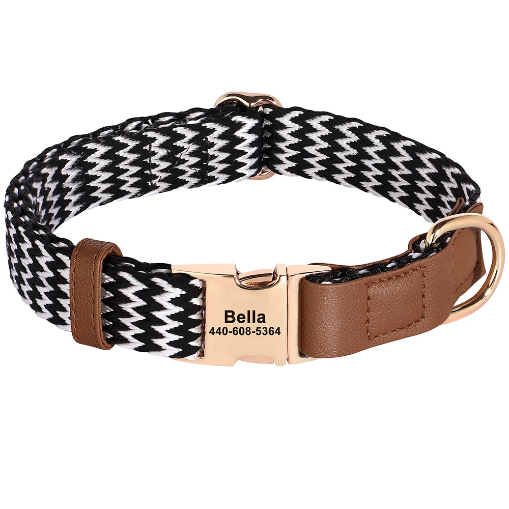 Dog Collar