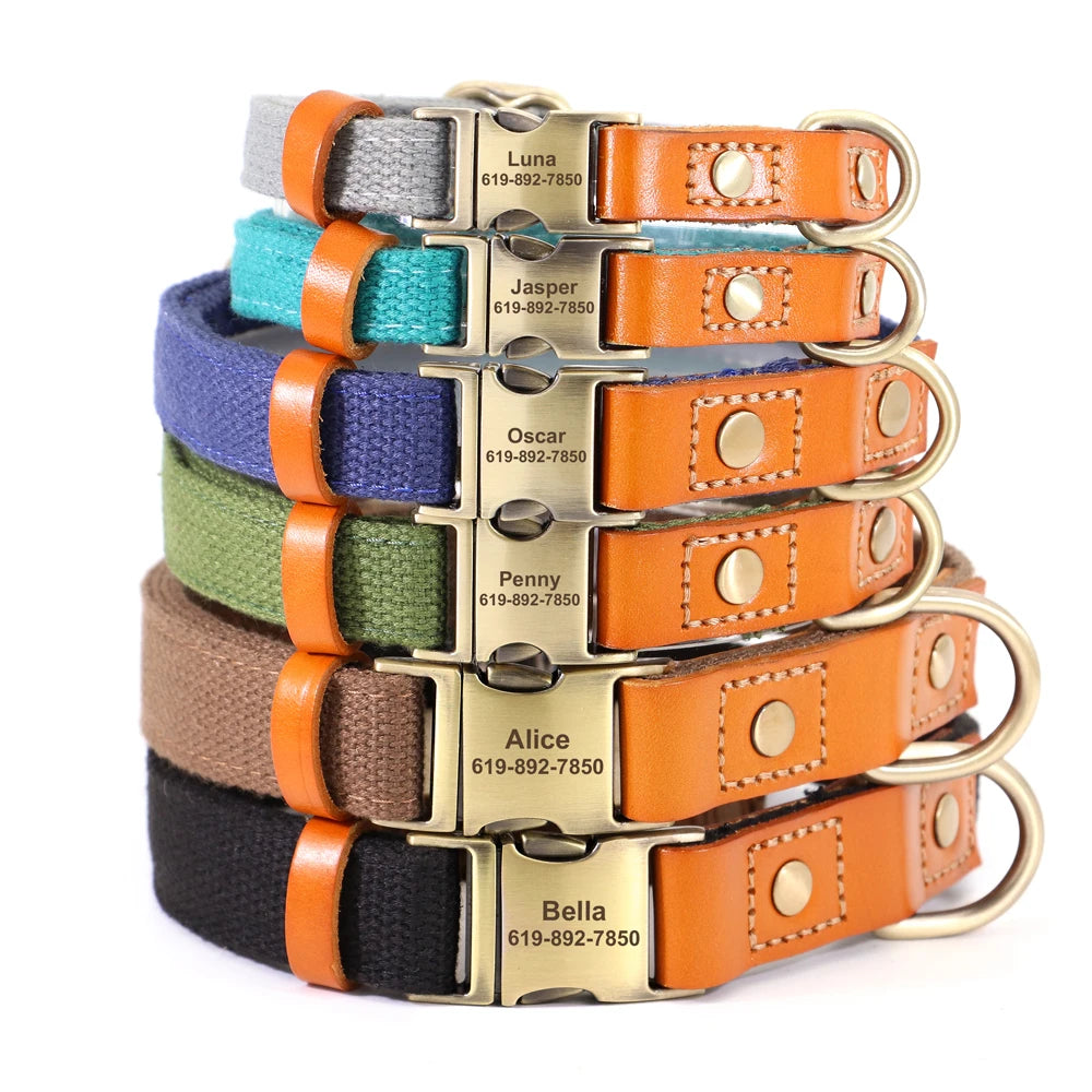 Dog Collar