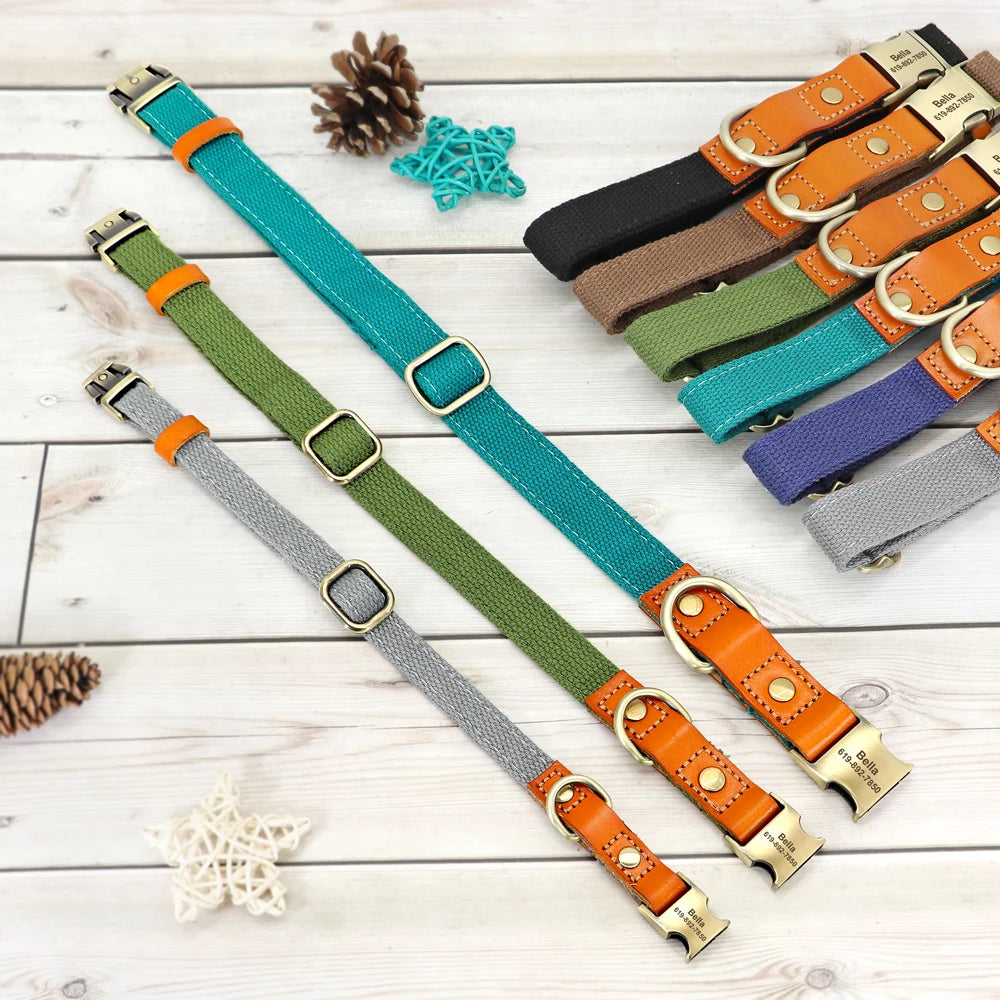 Dog Collar