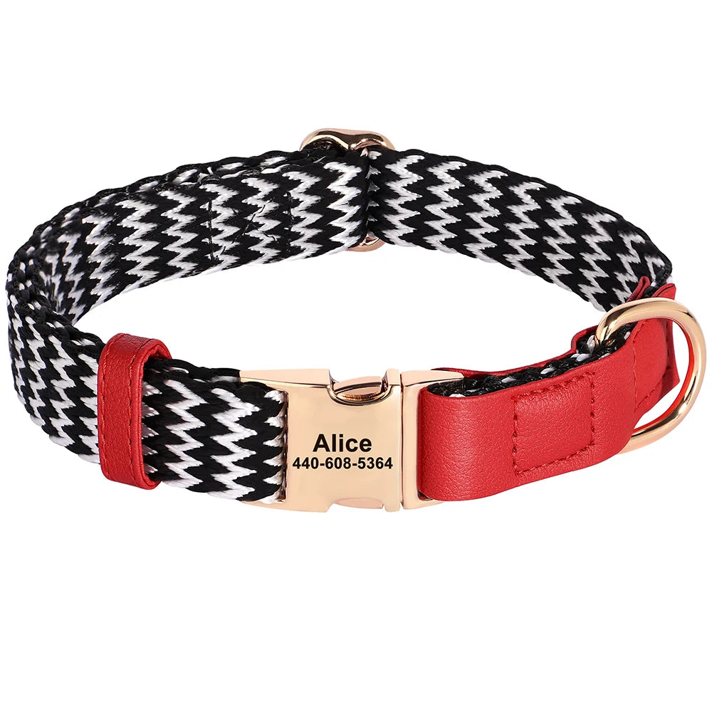 Dog Collar