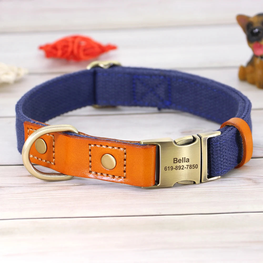 Dog Collar