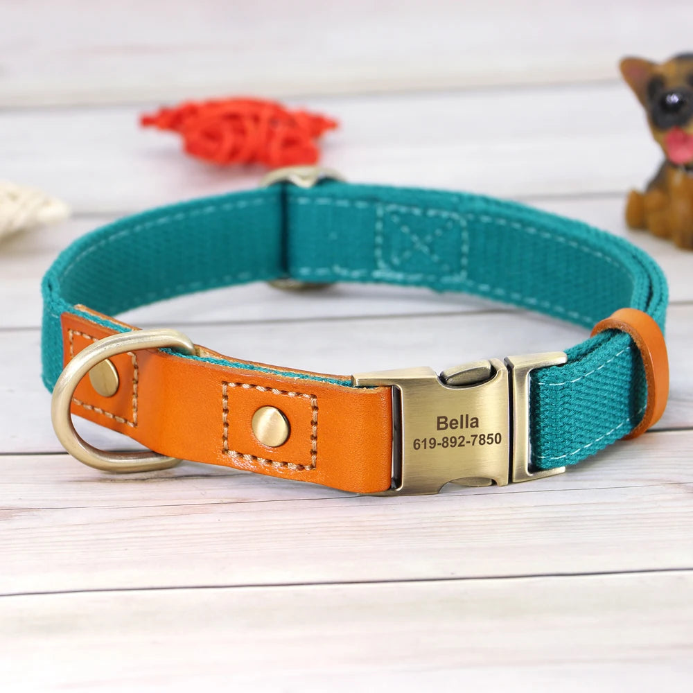 Dog Collar