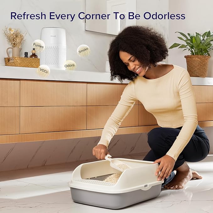 Air Purifier