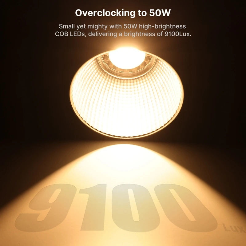 Portable LED light 
