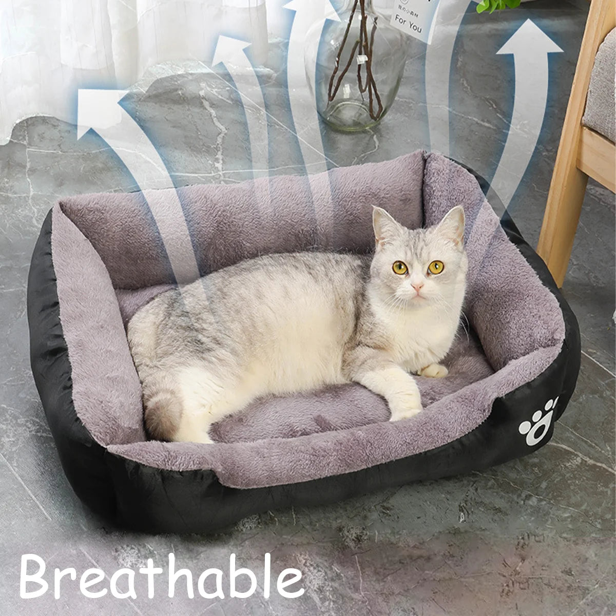 Cat Bed
