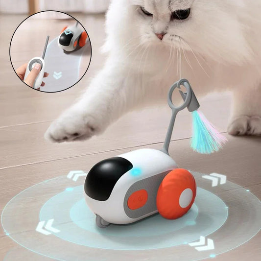 Cat Toy Self-employment