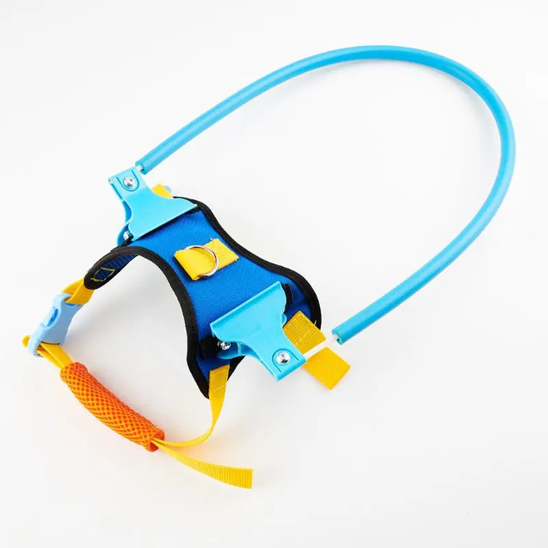 Dog Collar with Ring