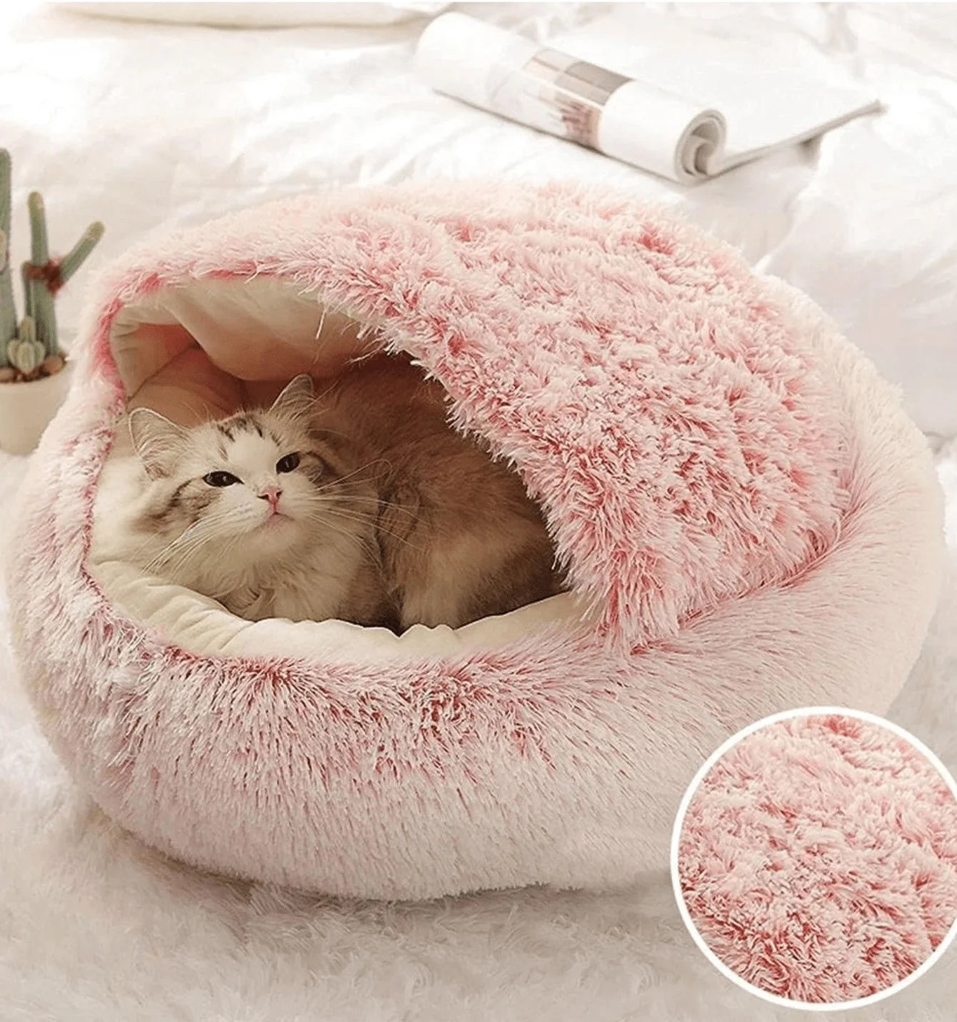 Cat Bed