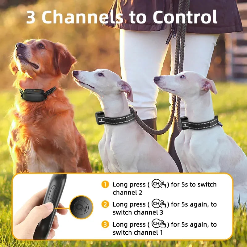 Digital Dog Training Collar