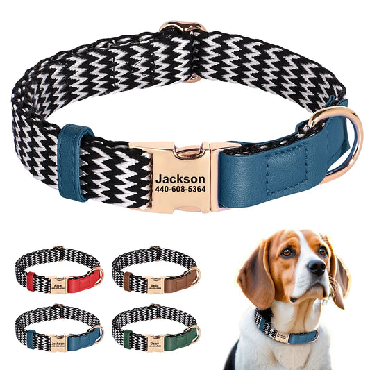 Dog Collar