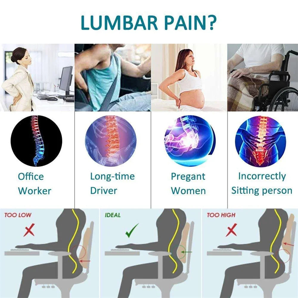 Lumbar Support Pillow