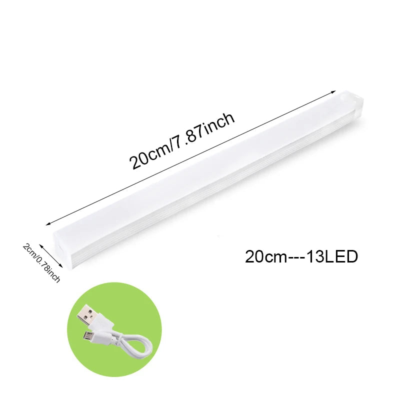 Motion Sensor Light