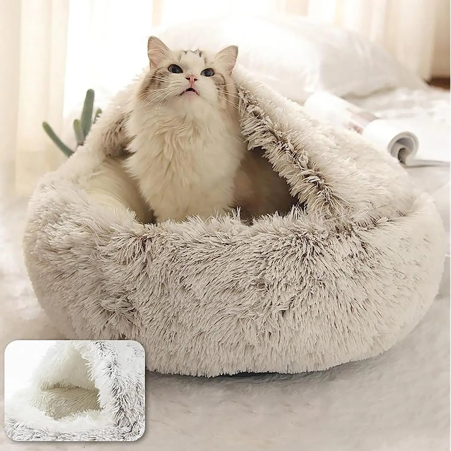 Cat Bed