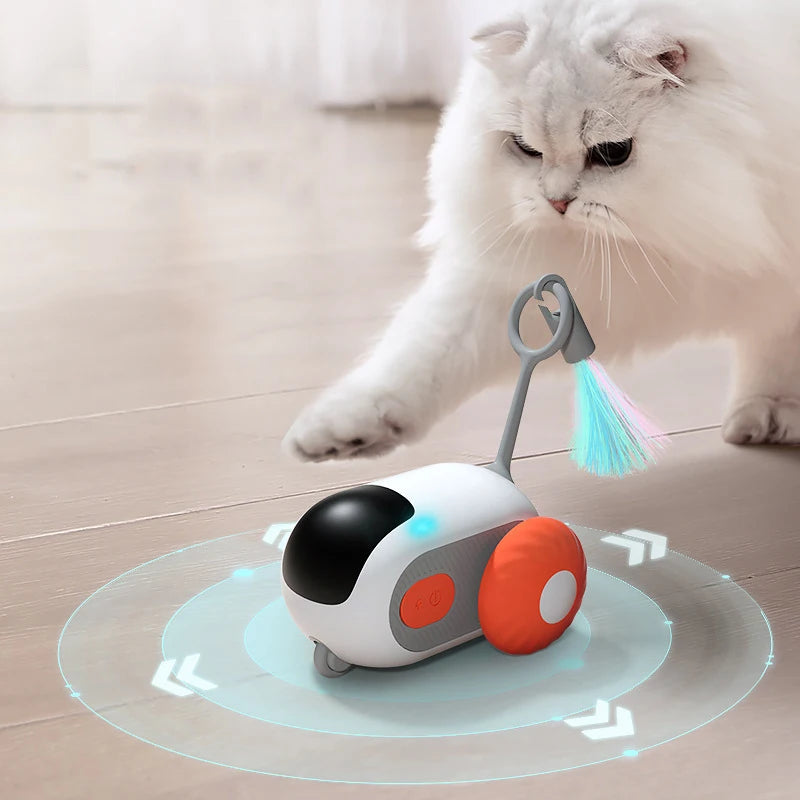 Cat Toy Self-employment