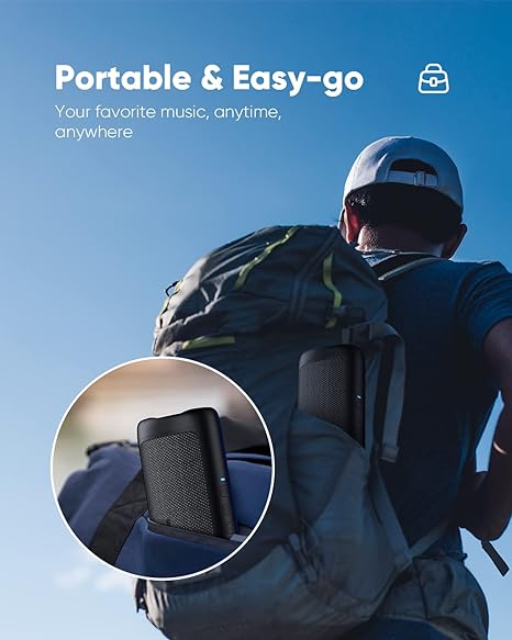 Portable Speaker